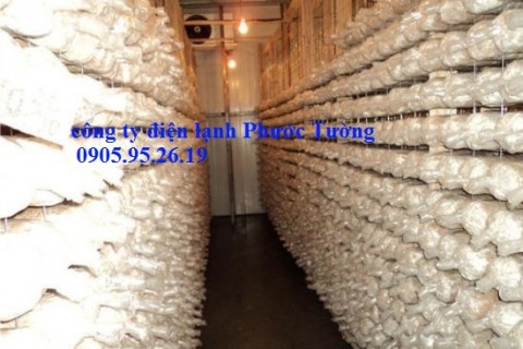 LẮP ĐẶT KHO LẠNH NẤM TẠI QUẢNG NAM
